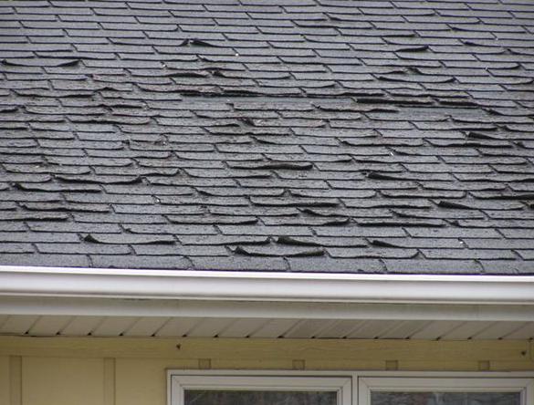 Asphalt shingles with damage including lifting, peeling, and cracking