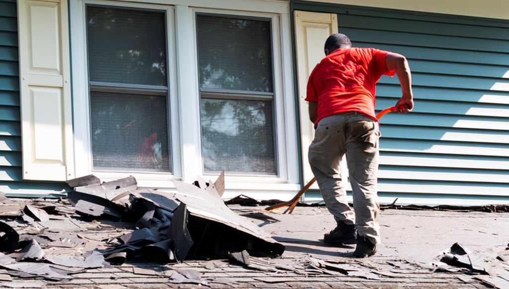 A roofing contractor pulls old asphalt shingles off of a roof