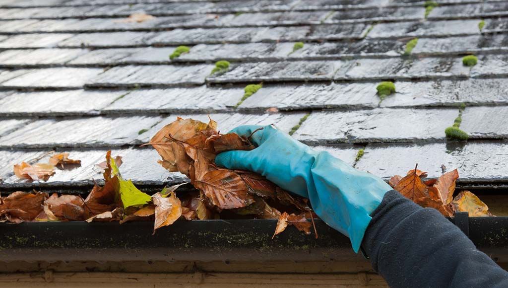 Leaves blocking gutter on a residential home