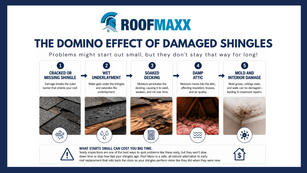 Infographic showing the progressive stages of roof damage that stems from shingle damage, including leaks, rot, structural damage, mold, and more.